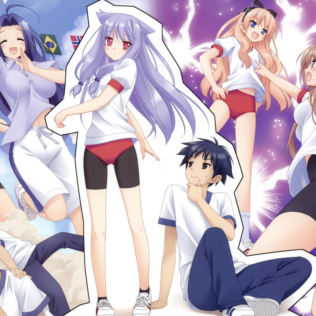 Нашествие бродячих кошек!