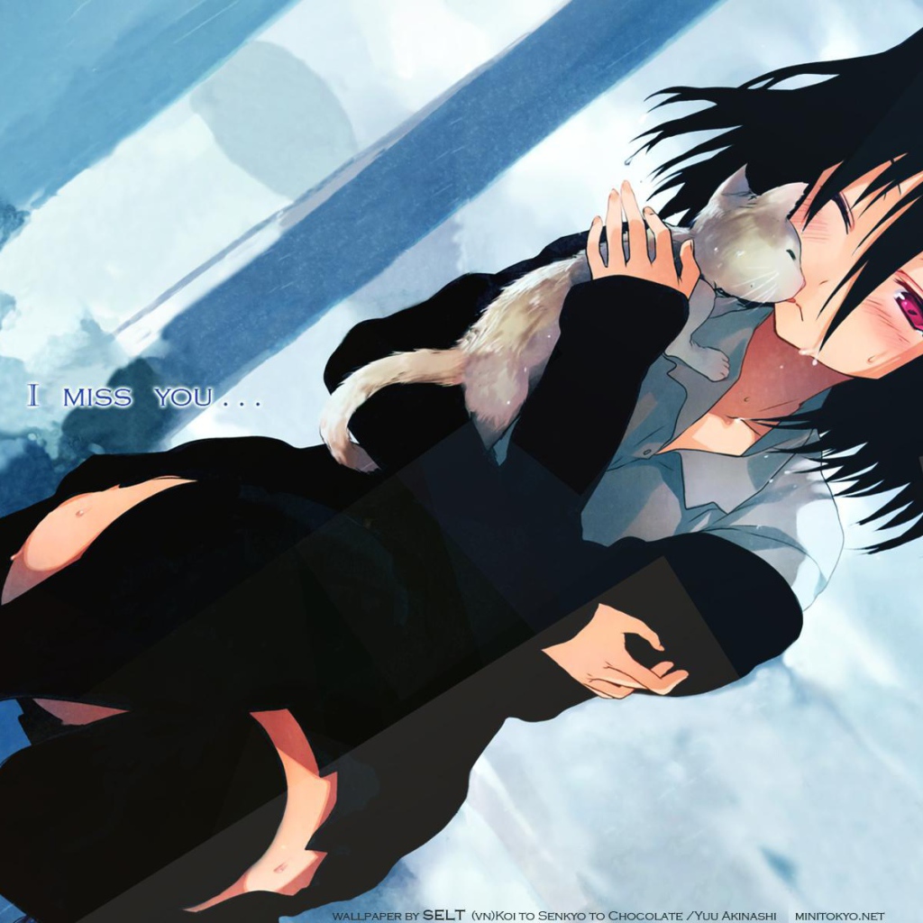 Любовь, выборы и шоколад