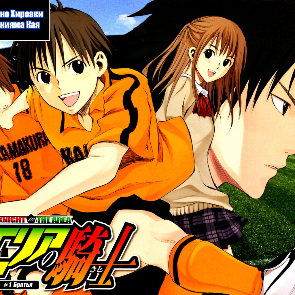 Паладин на поле