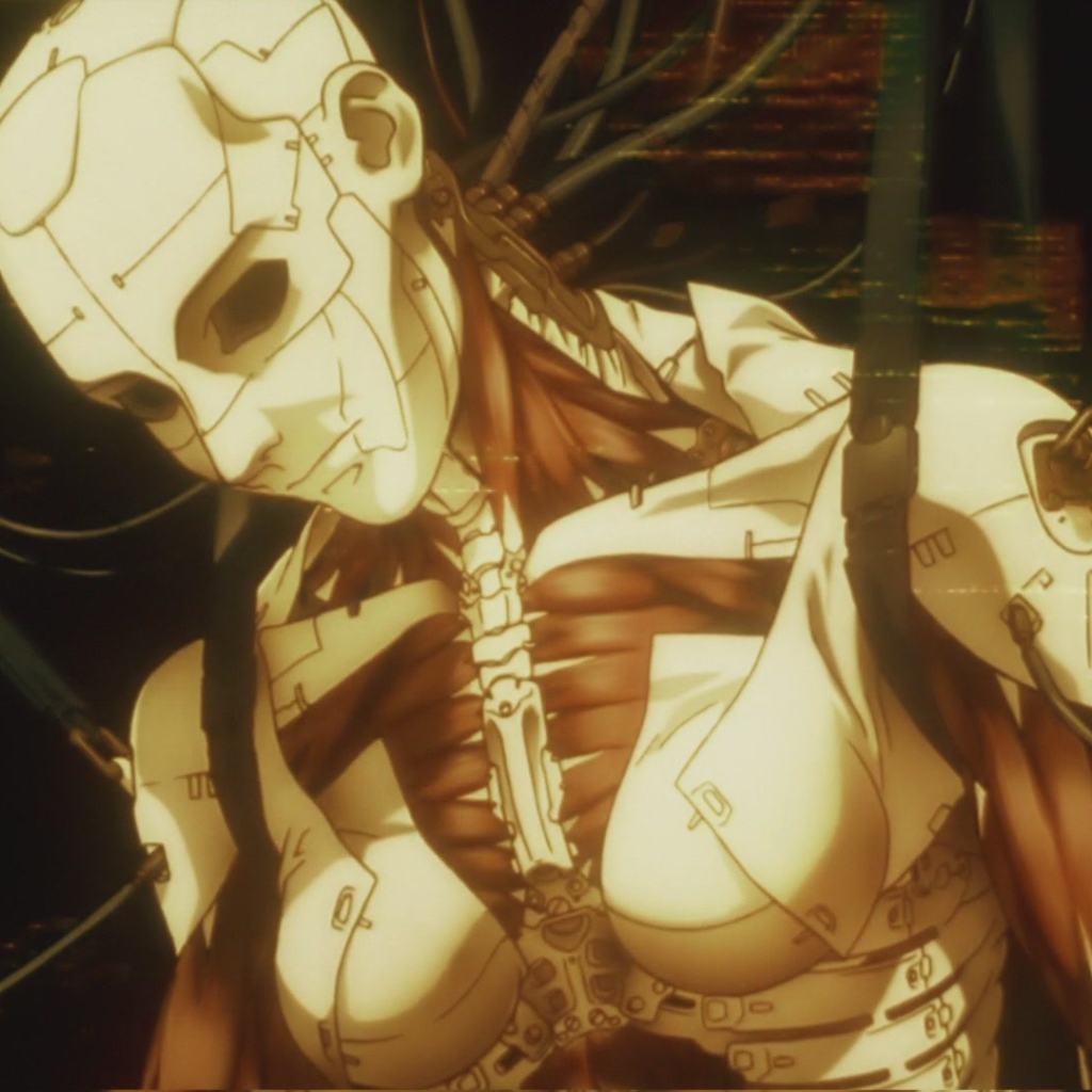 Аниматрица