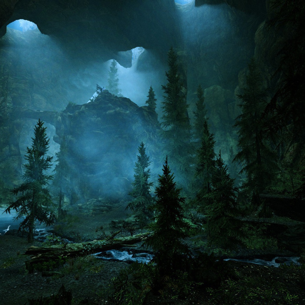 Старец Скроллс 5 дремучий лес