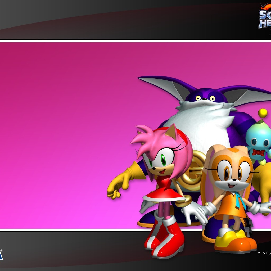 Герои Соник