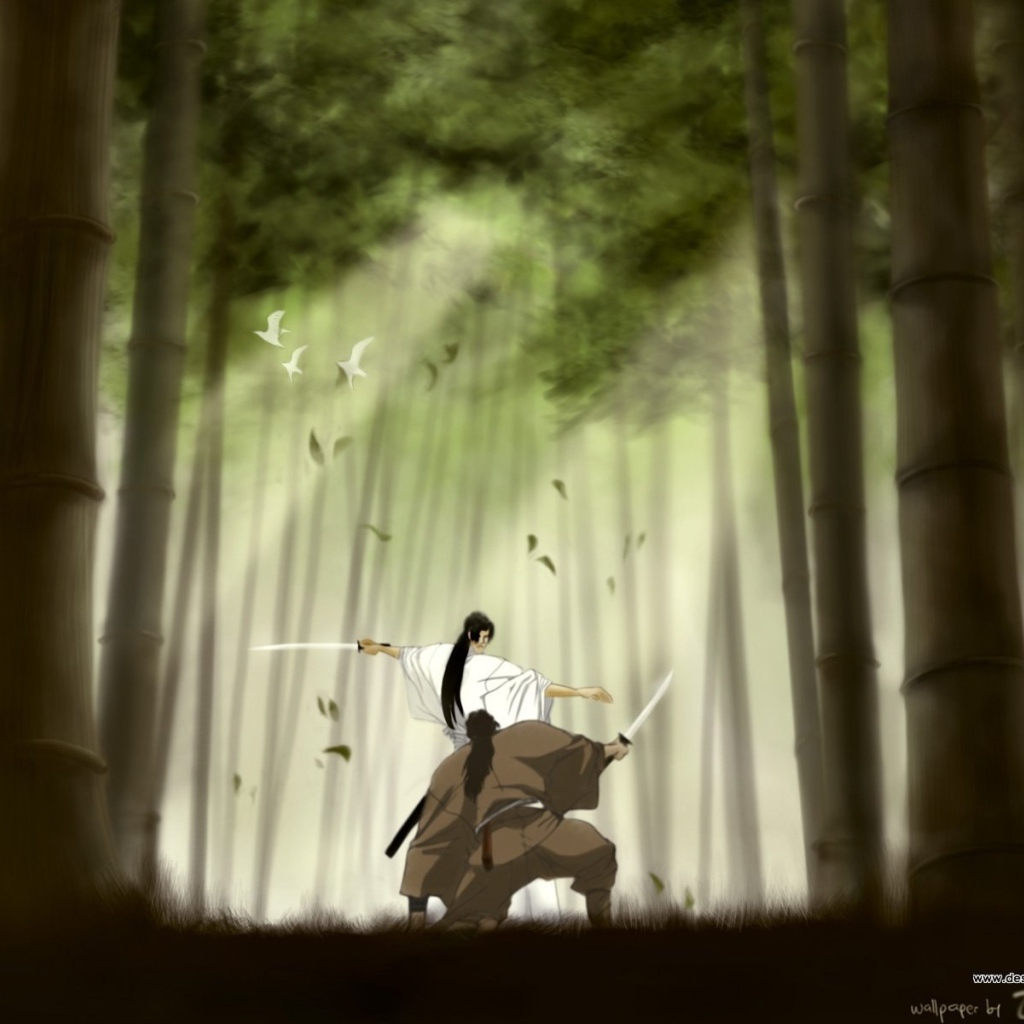 Манускрипт ниндзя