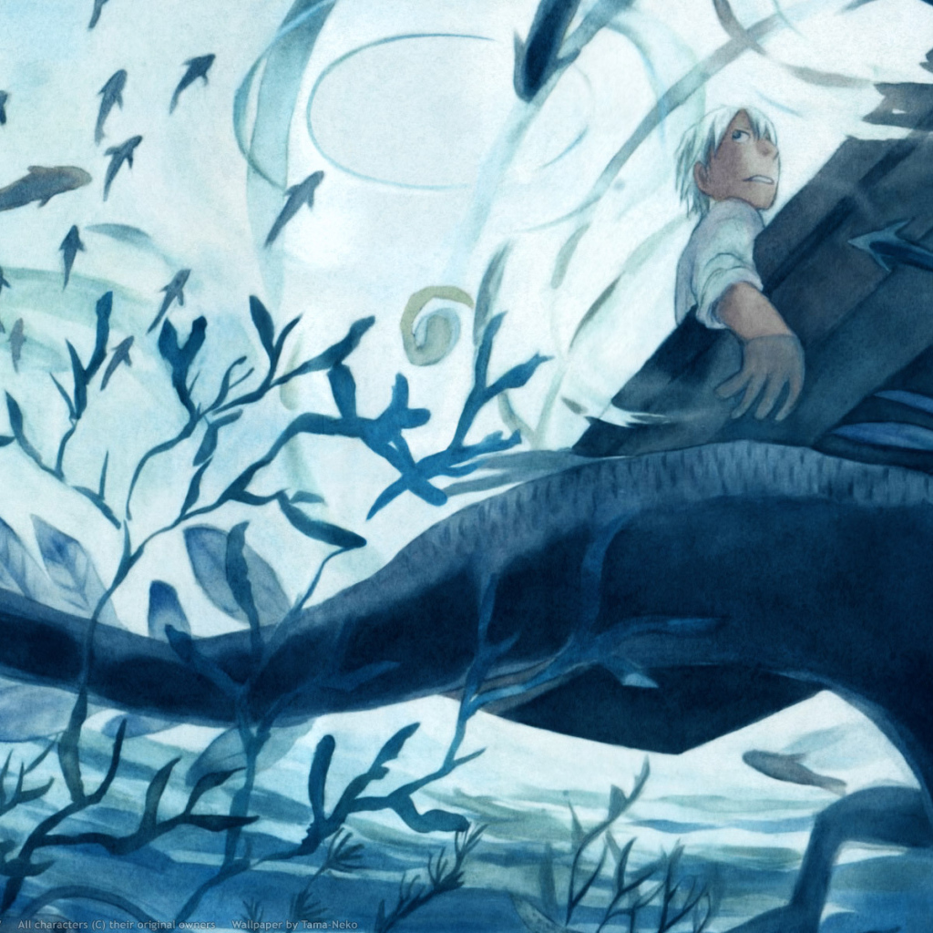 Мастер Муси