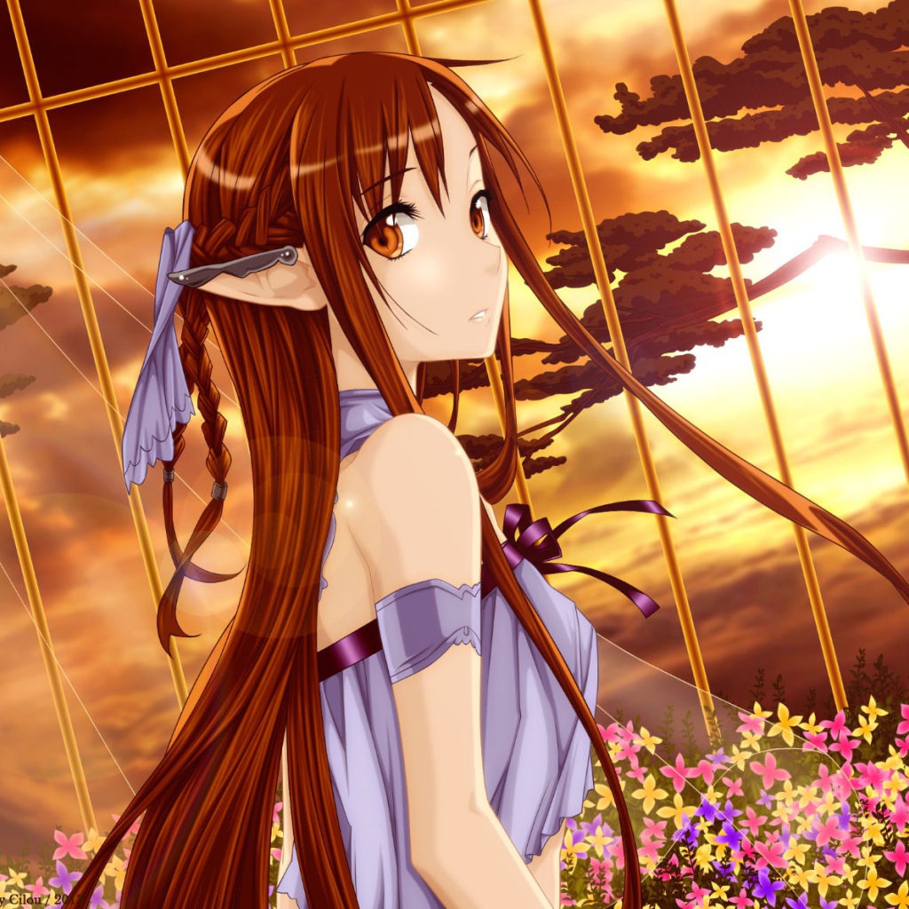 Молчаливая Морита