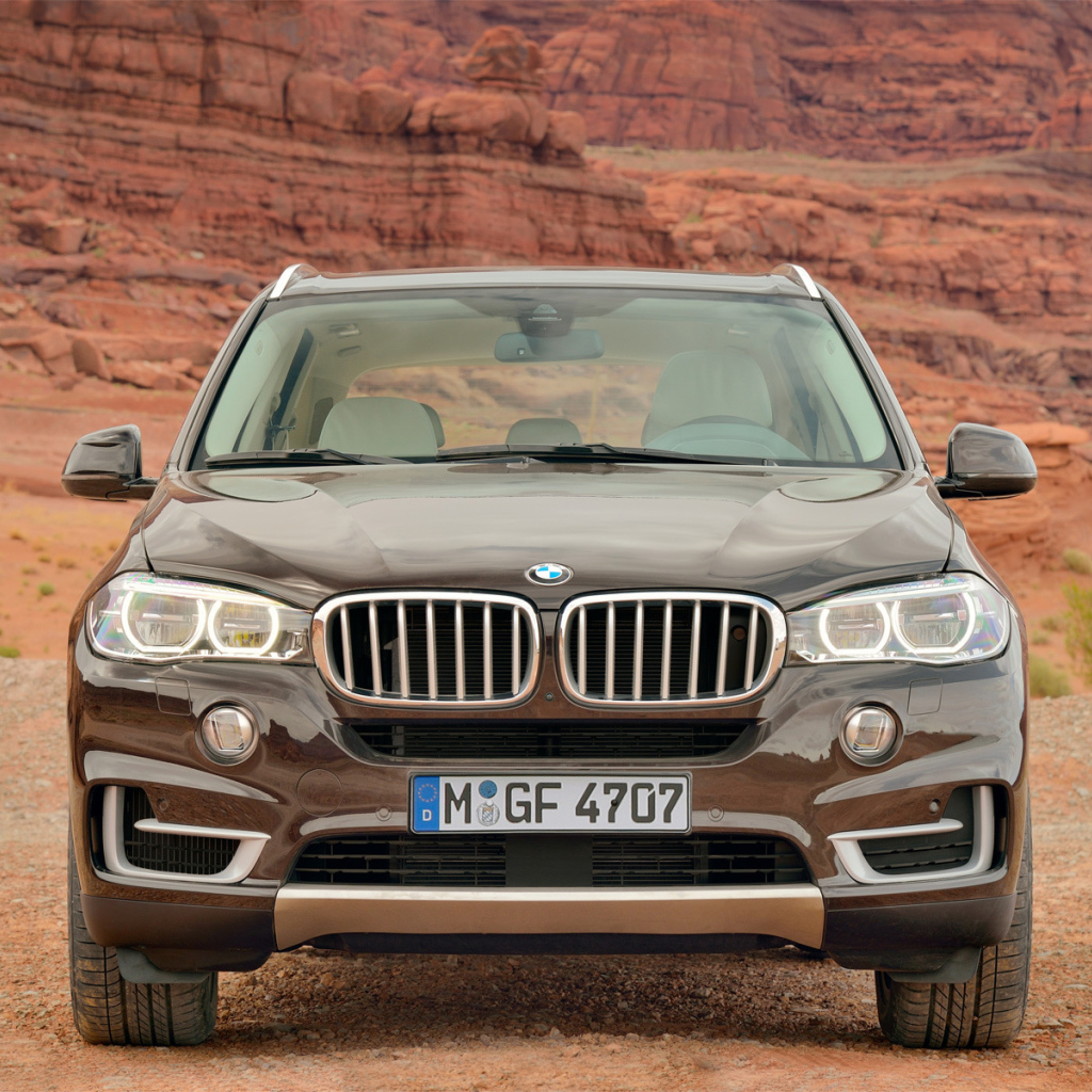 Коричневый BMW X4 кроссовер