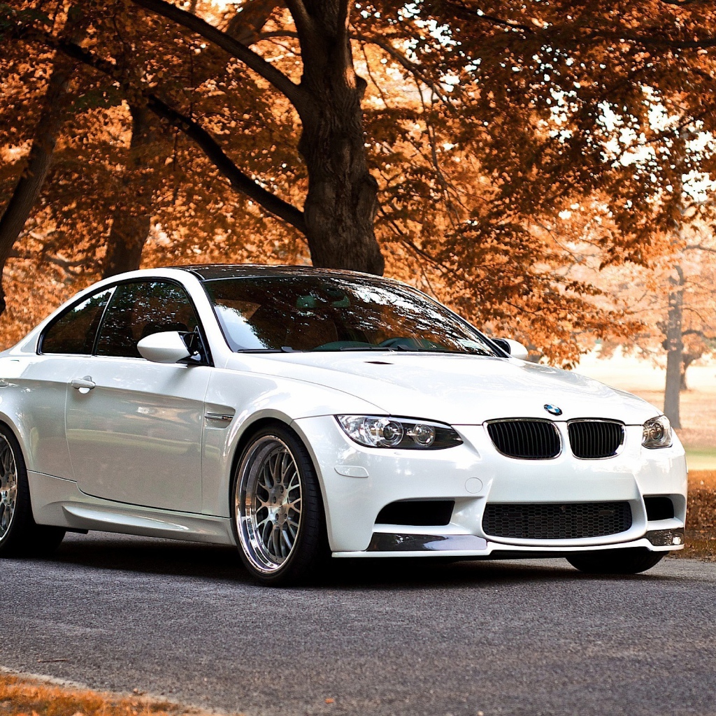 Белый BMW В осеннем парке