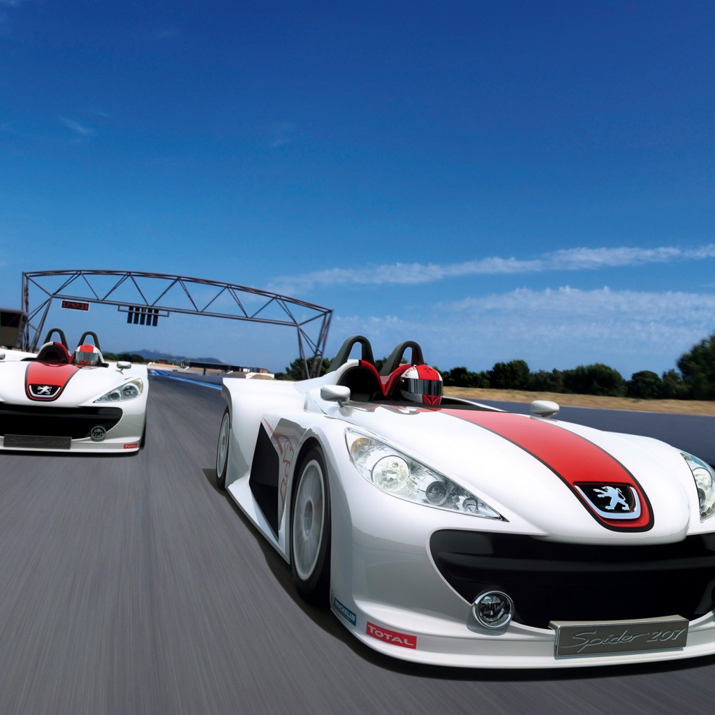 Гонки на автомобилях Пежо