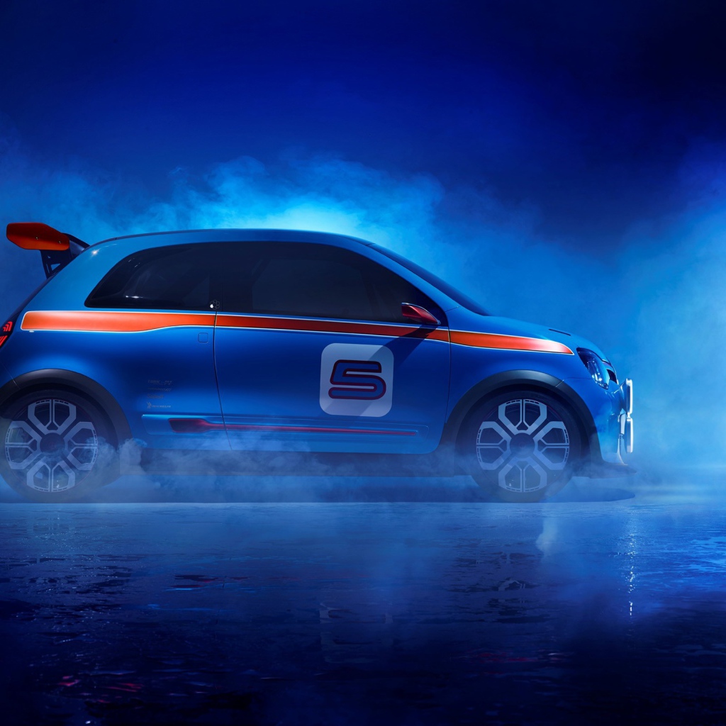 Двух дверный Renault