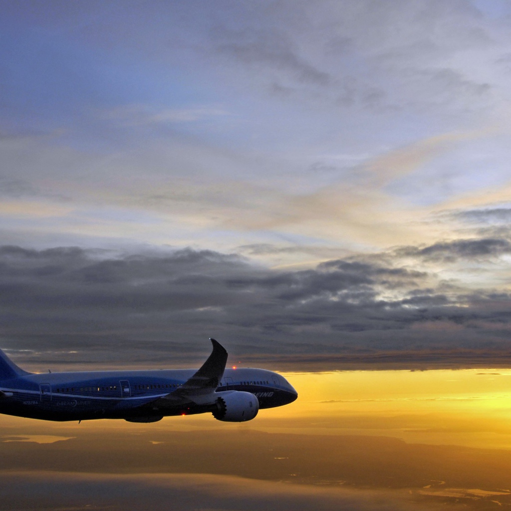 Boeing 787 Dreamliner