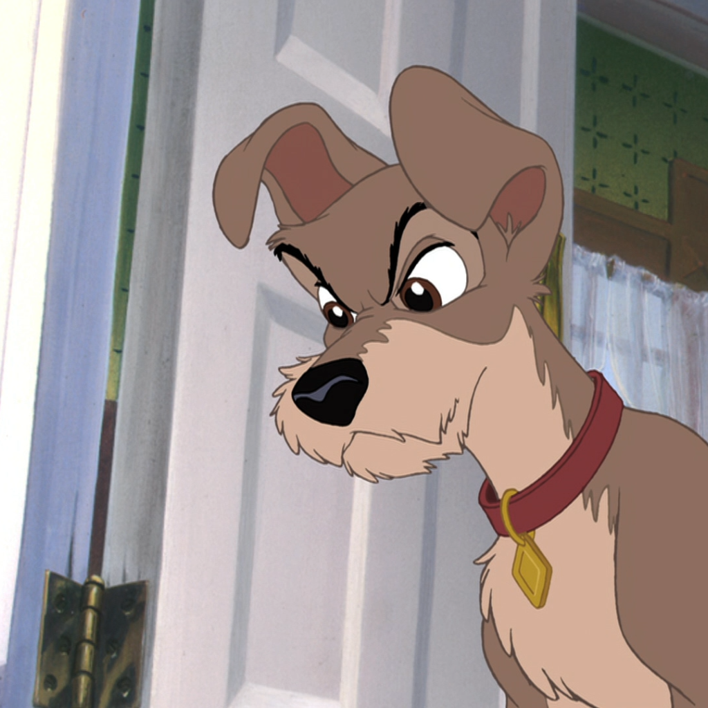 Приключения большого Джеффа