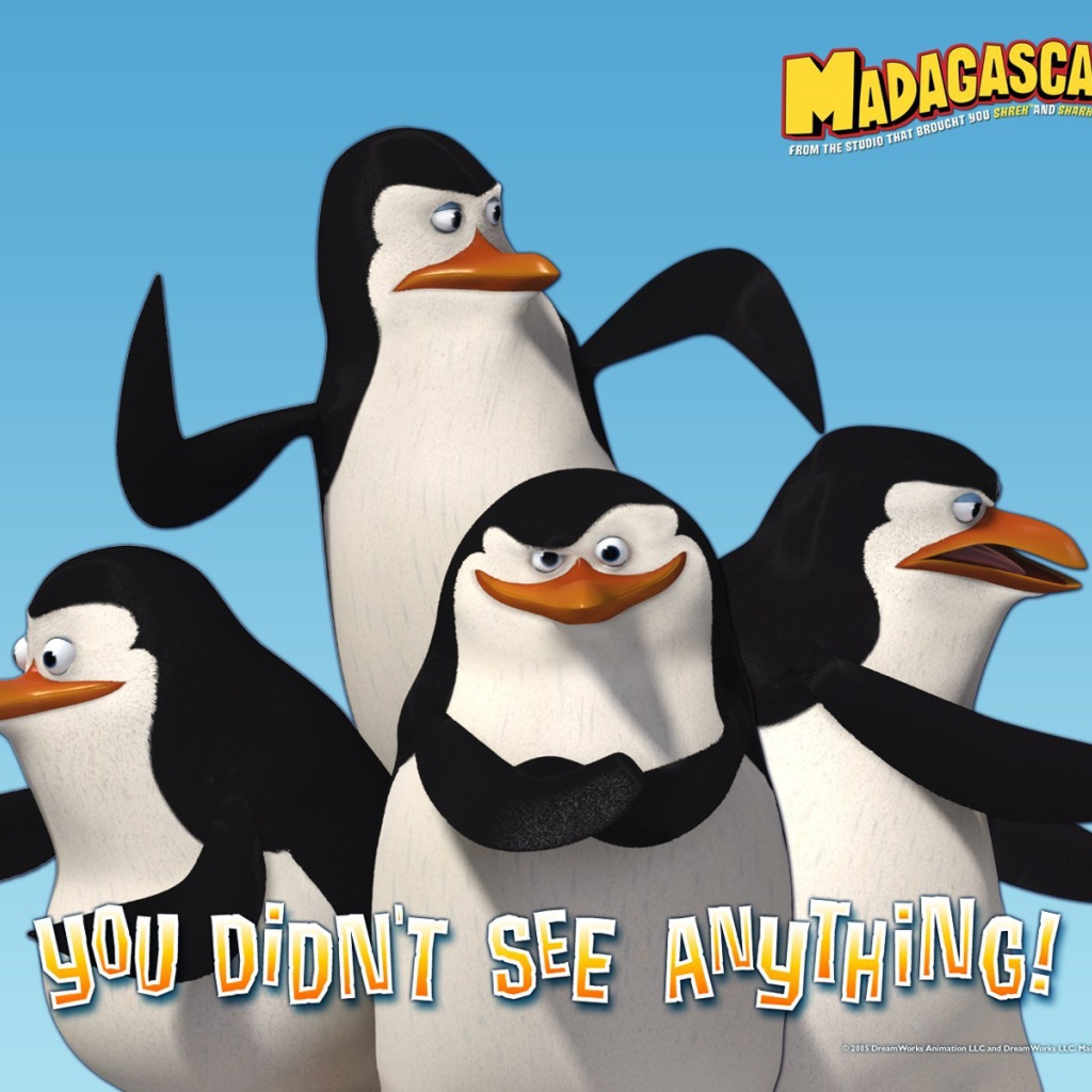Пингвины из Мадагаскара