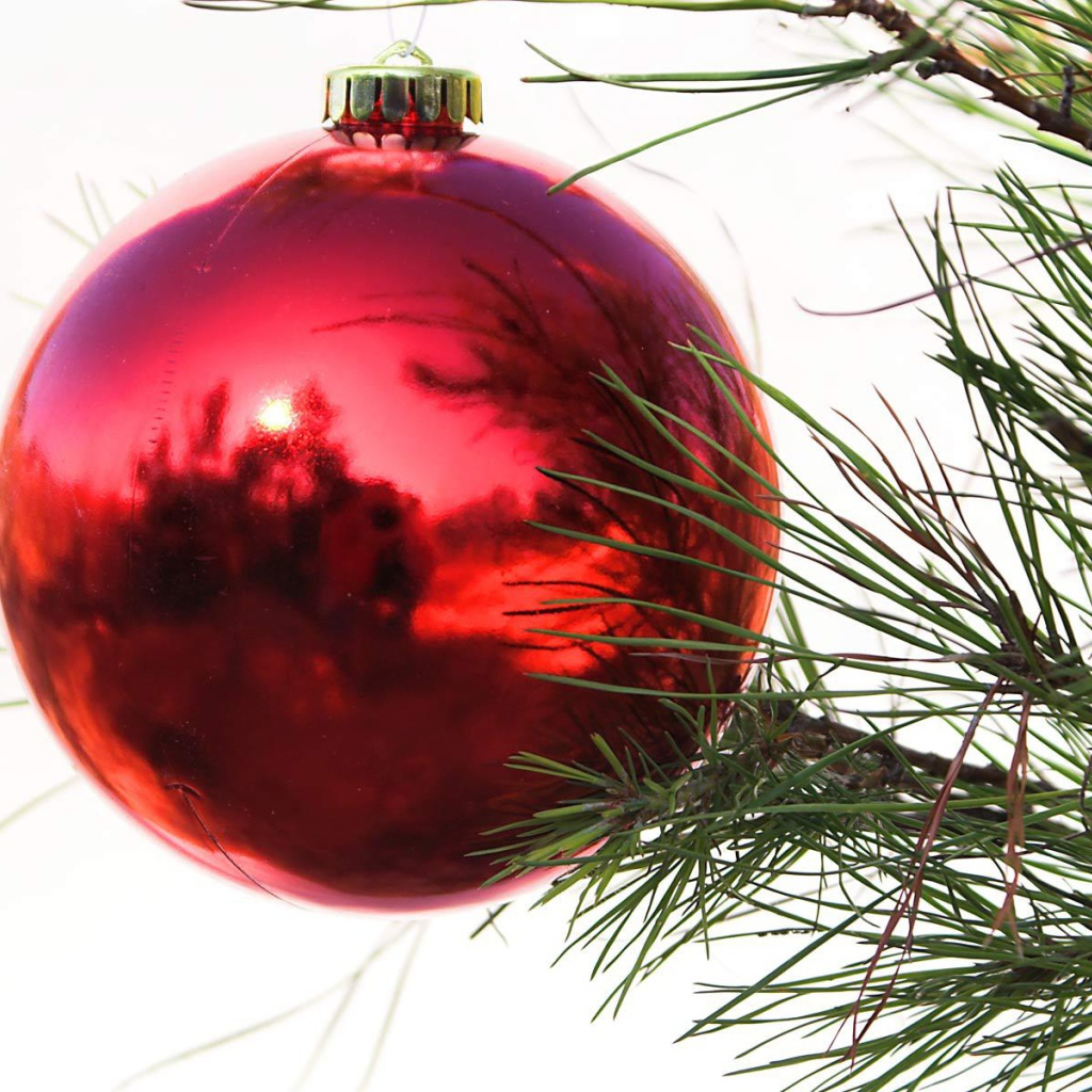 Красный шар на ёлке на рождество