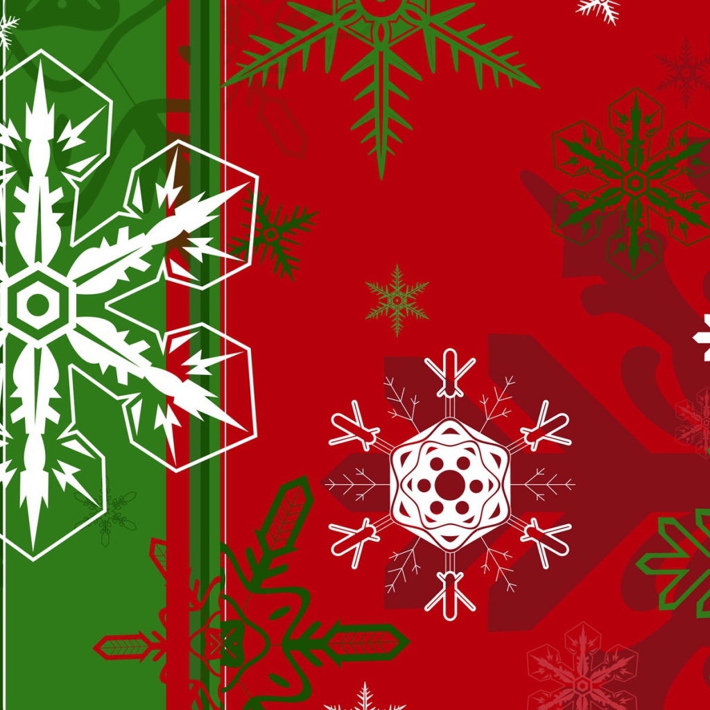 Snowflakes of different shapes on the green and red background on Christmas