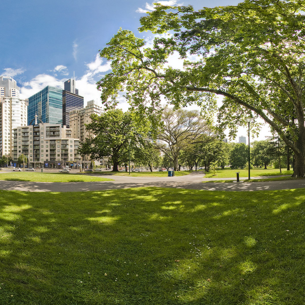 Городской парк летом