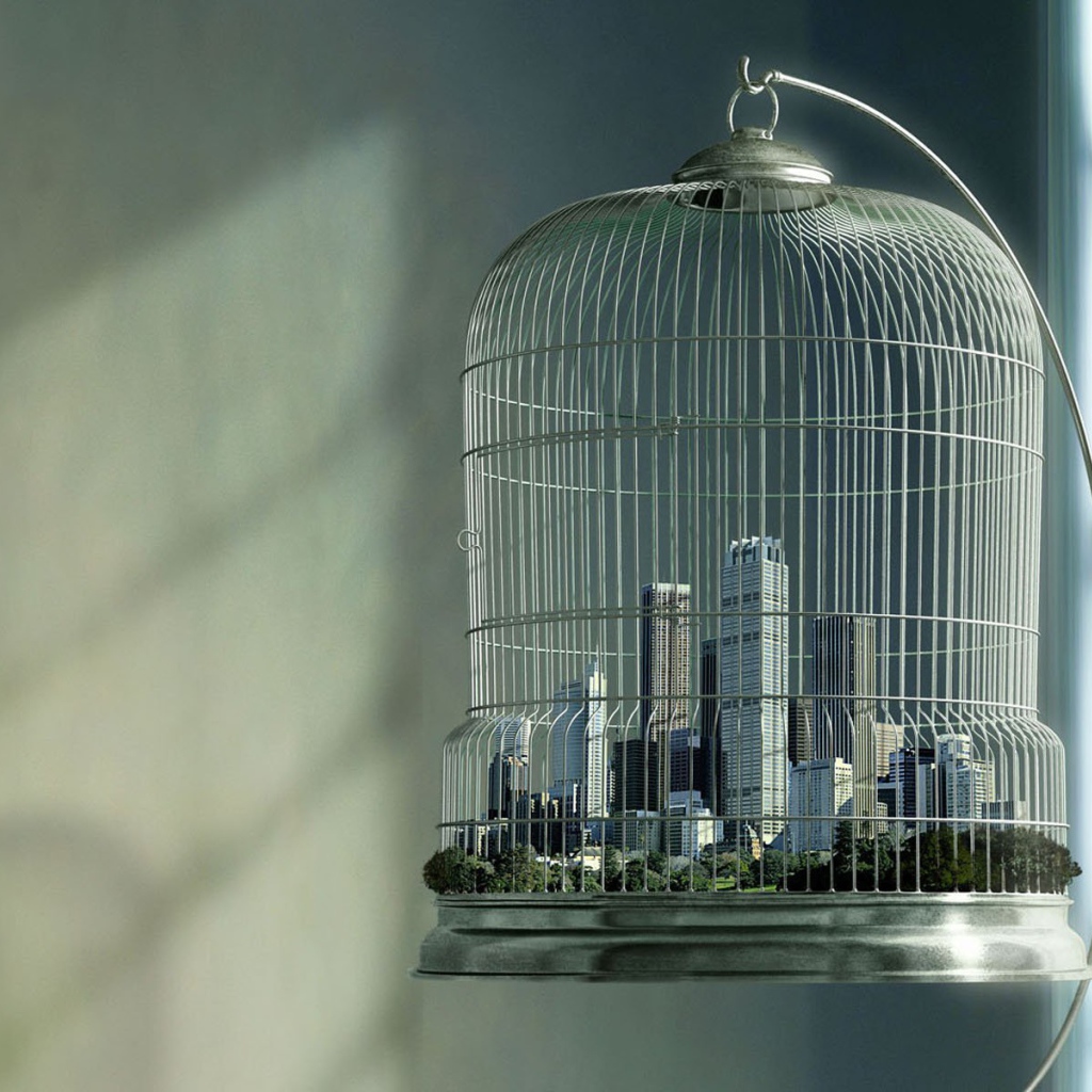 Город в клетке