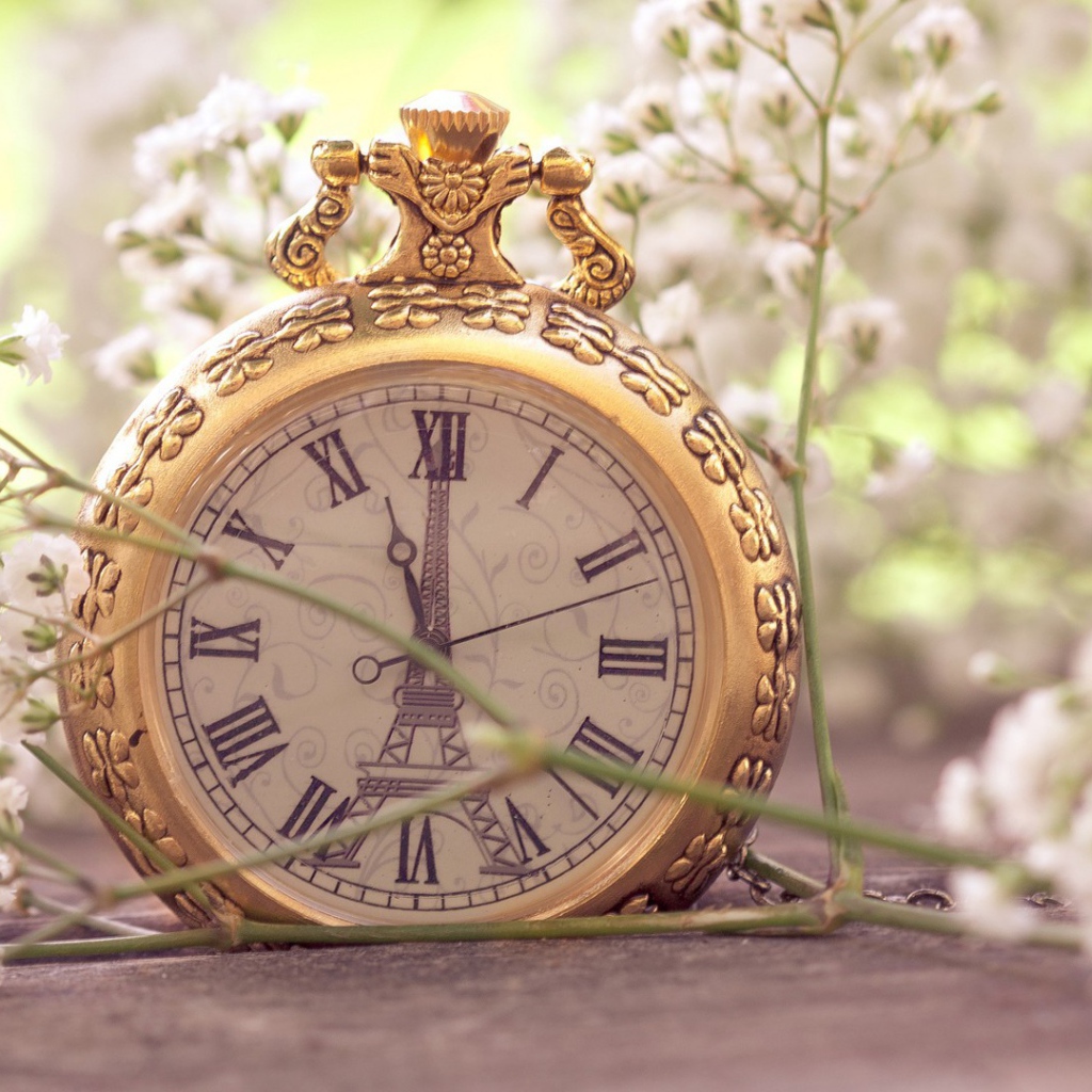 Композиция с часами