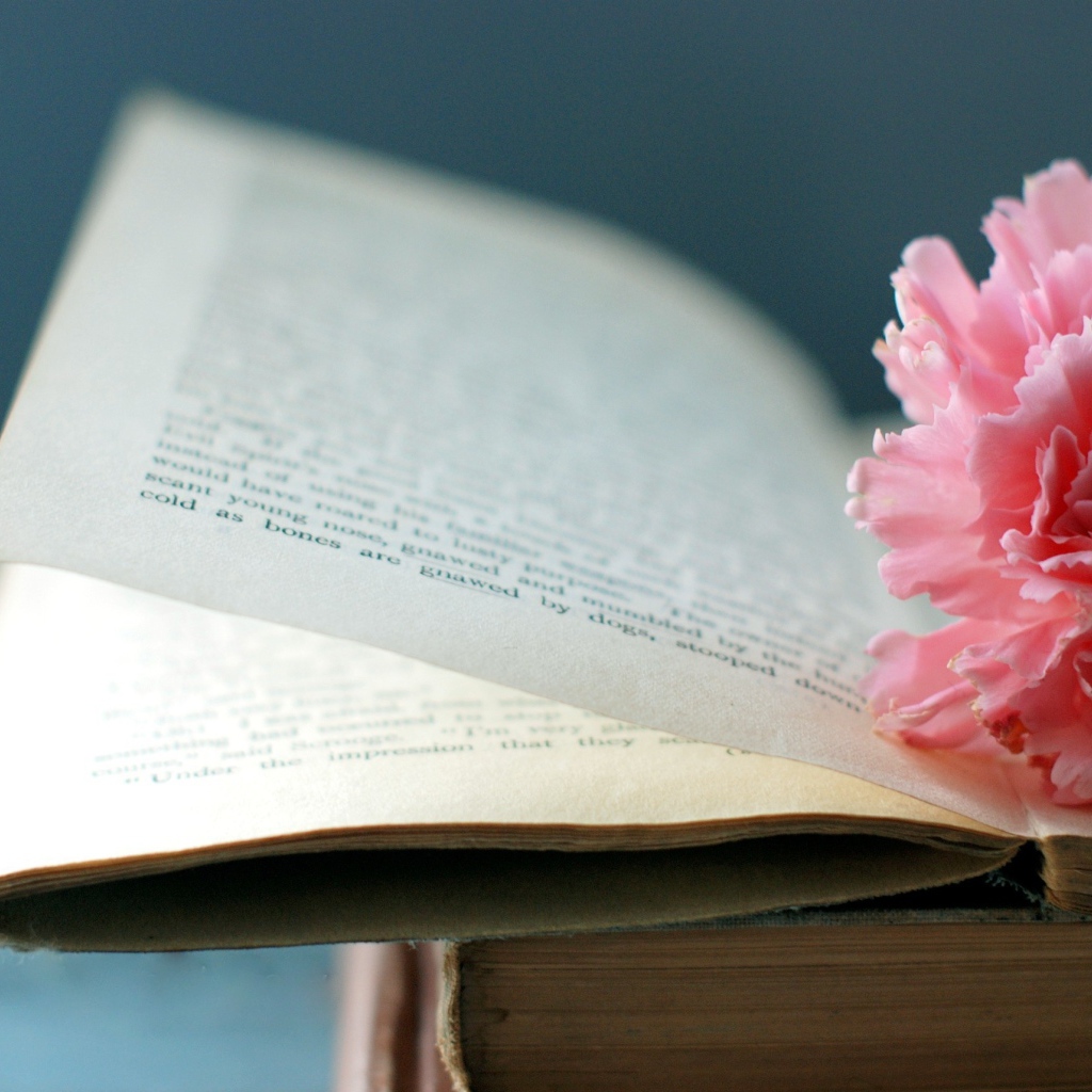 Цветок на книге