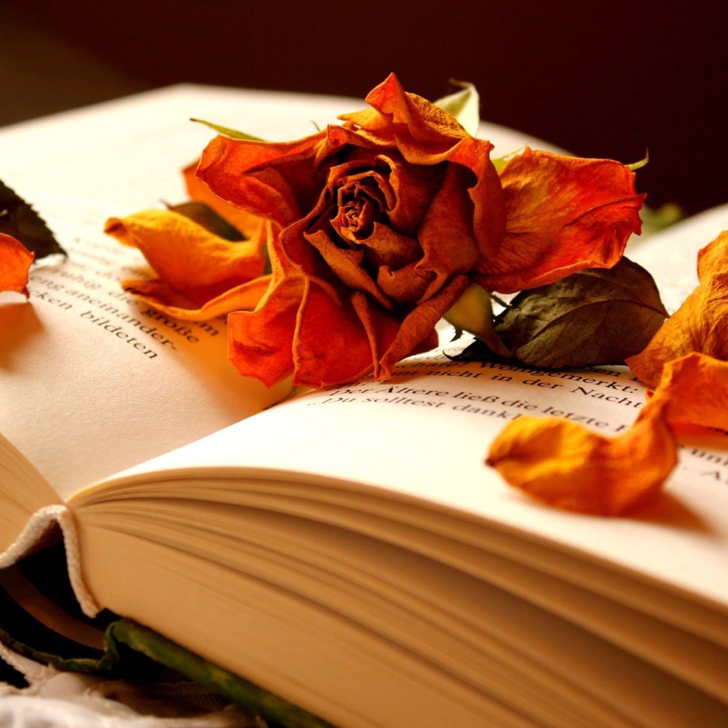 Открытая книга