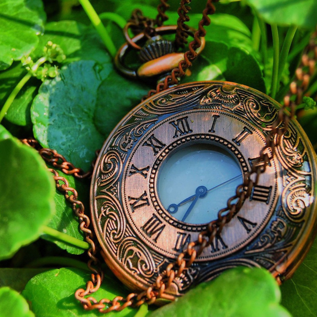 Карманные часы с цепочкой