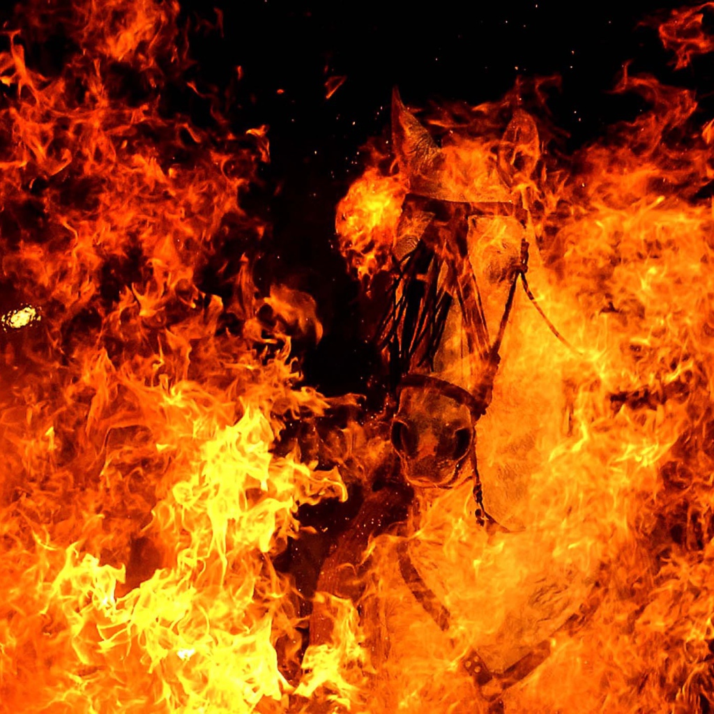 Год огненной лошади