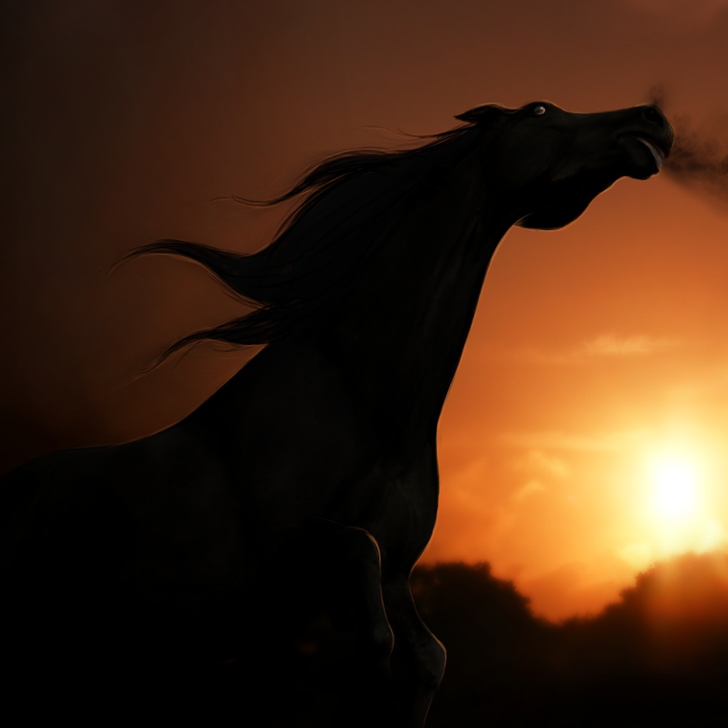 Силуэт лошади