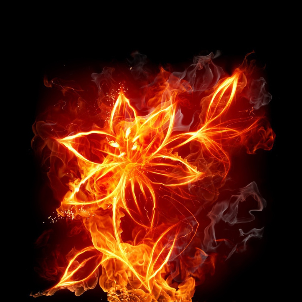 Фантазия Огненный цветок