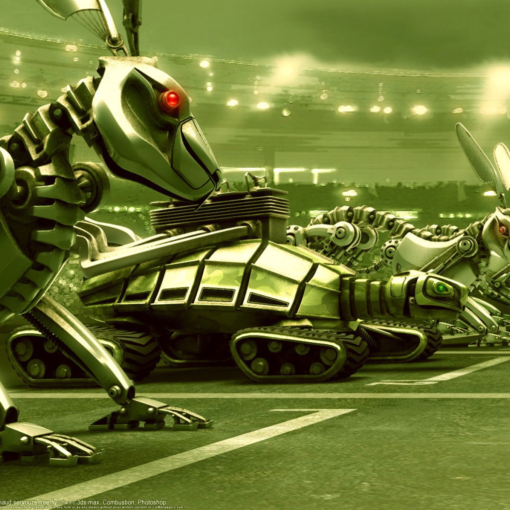 Гонка с черепахой