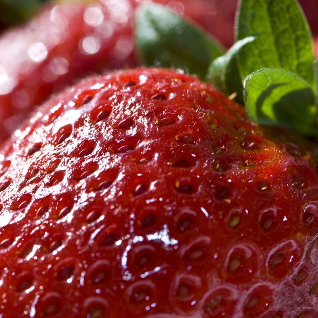 Большая клубника