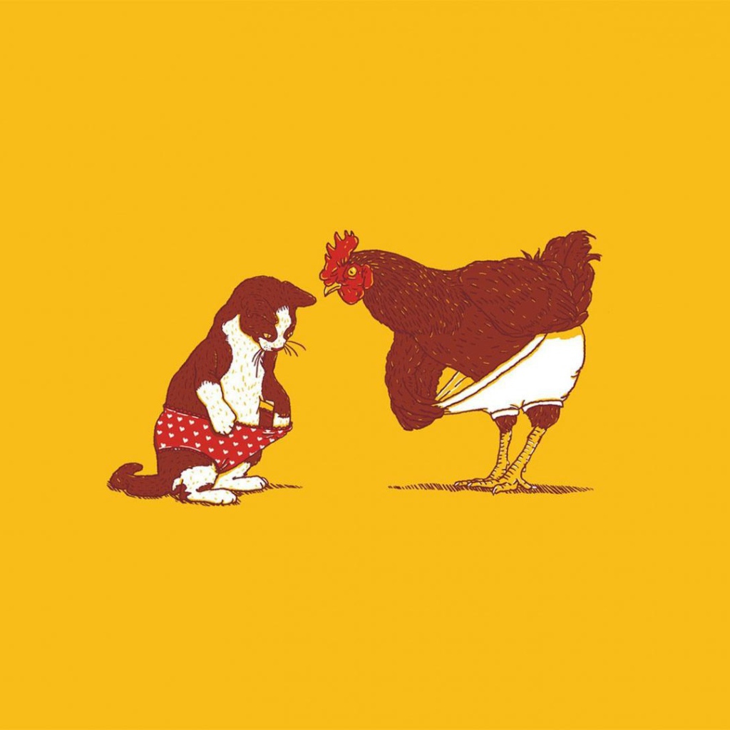 Петух и кошка