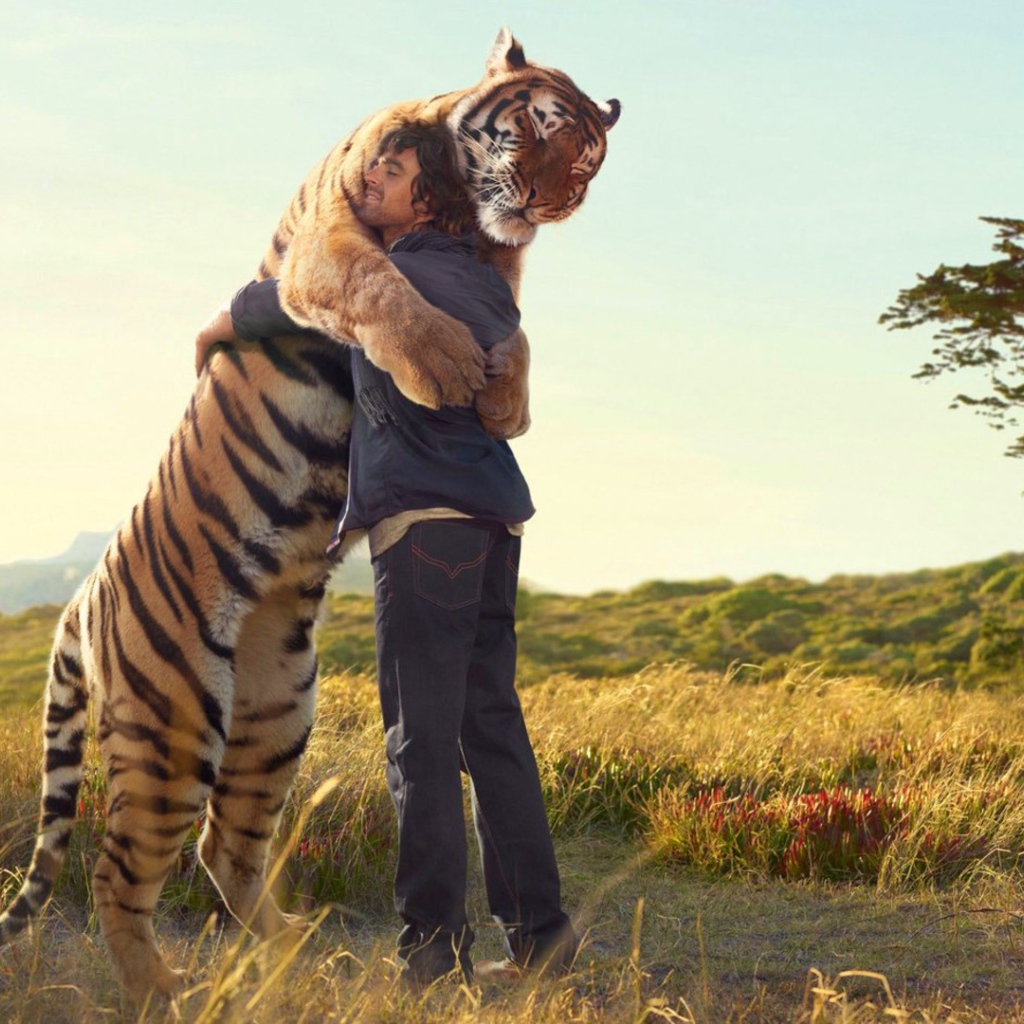 Друзья навеки