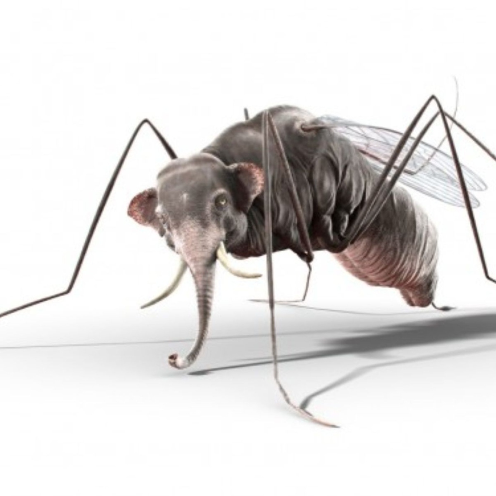 Комар с головой слона