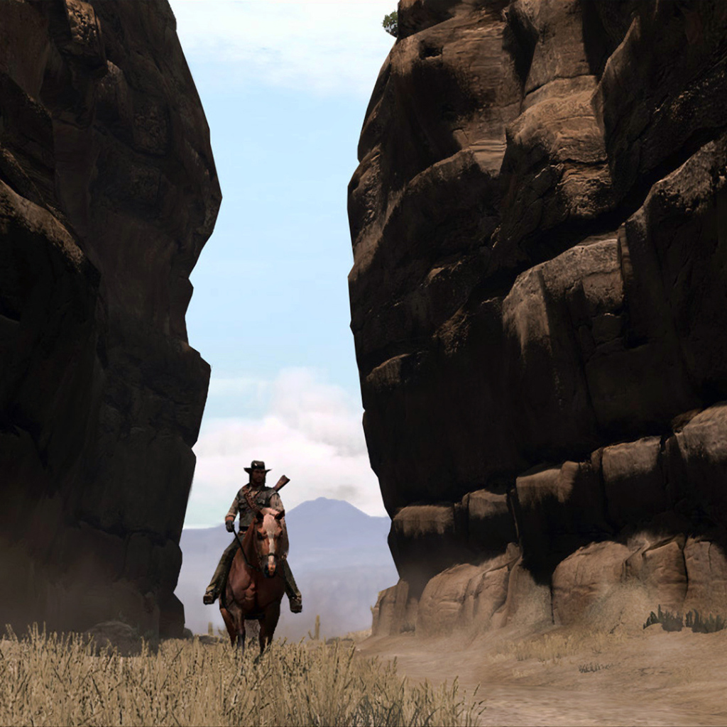 Всадник из видео игры