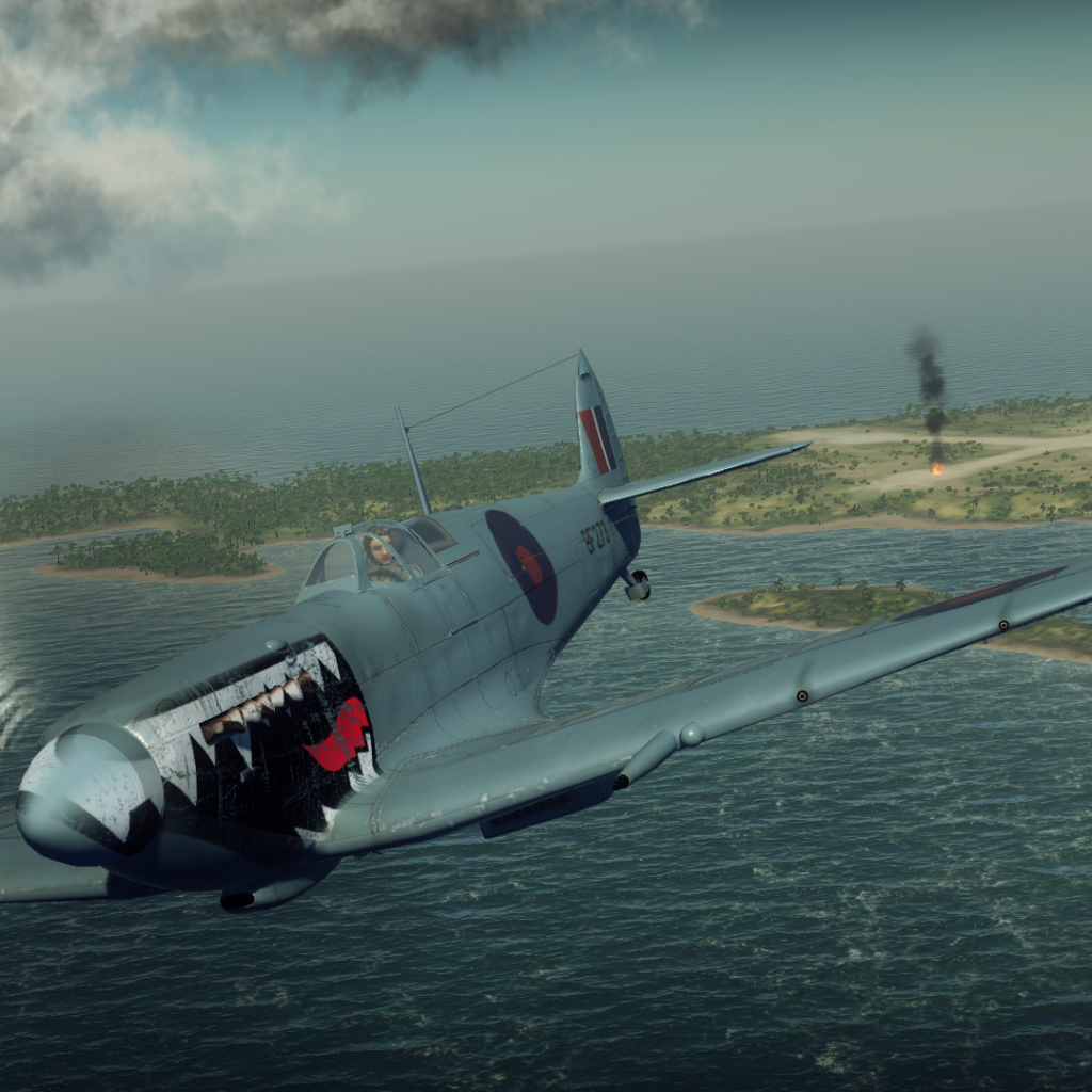 War Thunder военный самолет акула