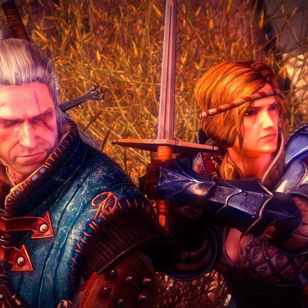 Видео игра Ведьмак 2