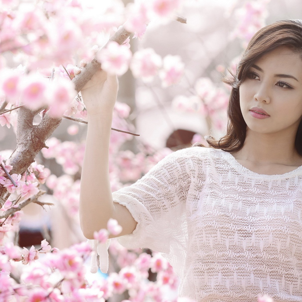 Весеннее цветение вишни