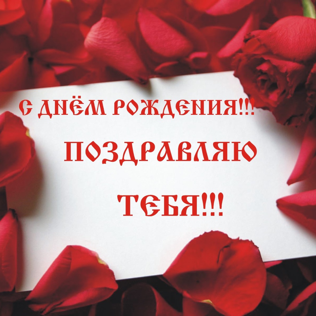 Лепестки роз на день рождения