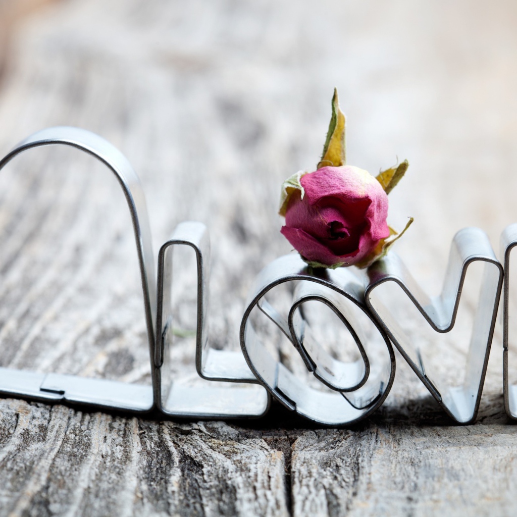 Цветок и любовь