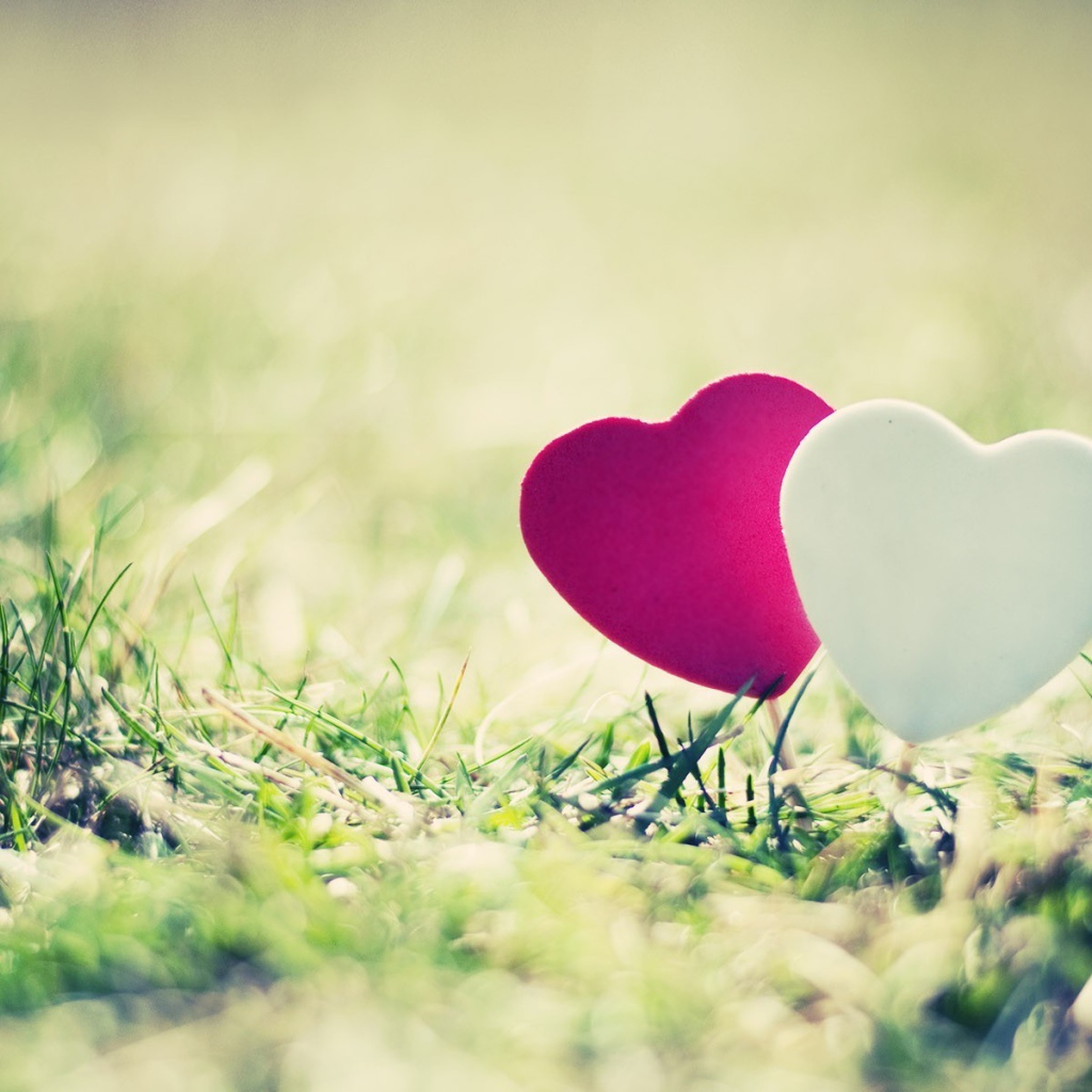 Два сердечка на траве