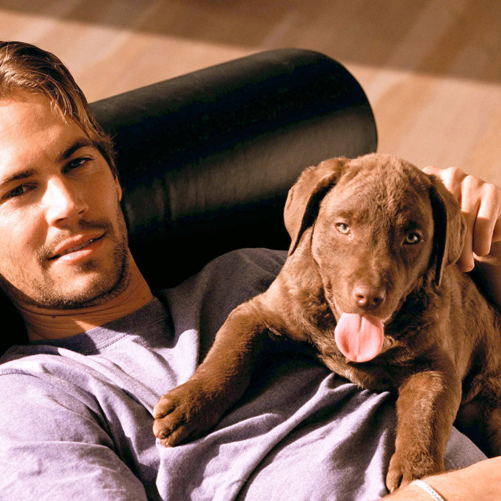 Пол Уокер актер фильма Форсаж и его собака