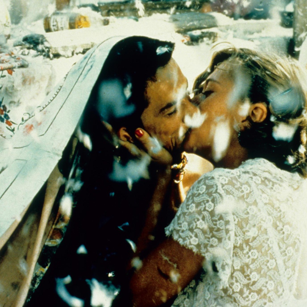 Чёрная кошка, белый кот