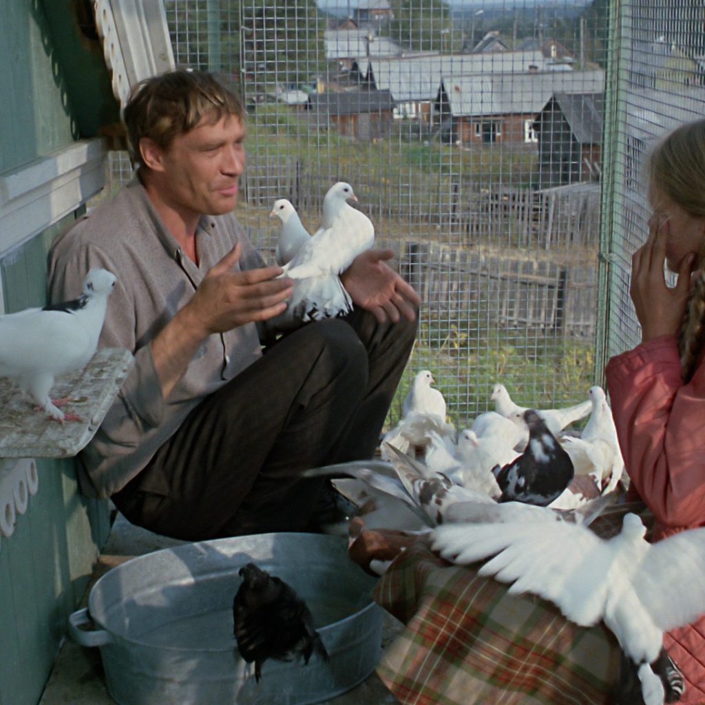 Любовь и голуби