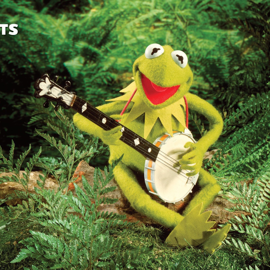 Лягушка с банджо