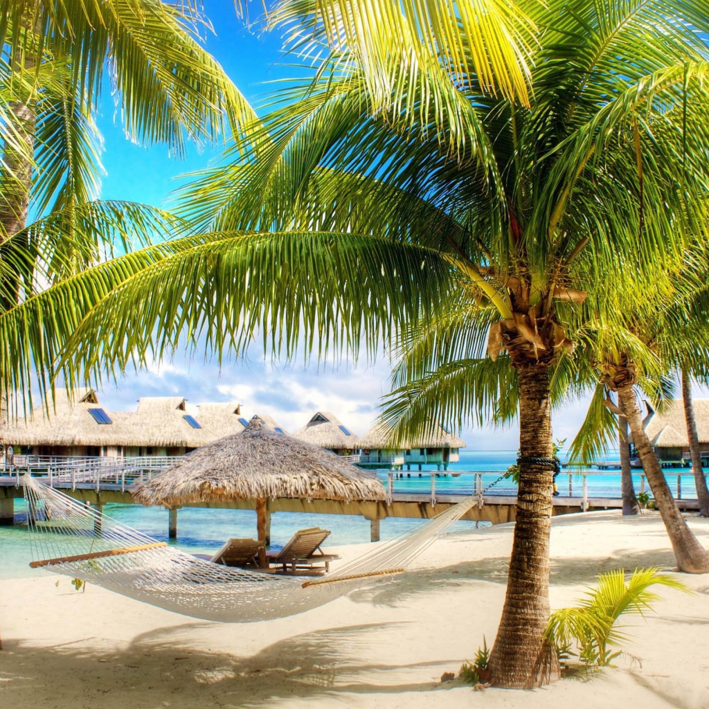 Пальмы и лежак на пляже