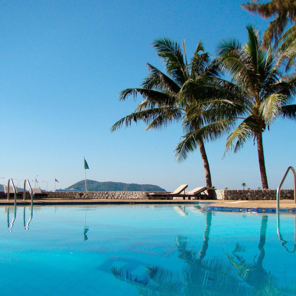 Бассейн и пальмы