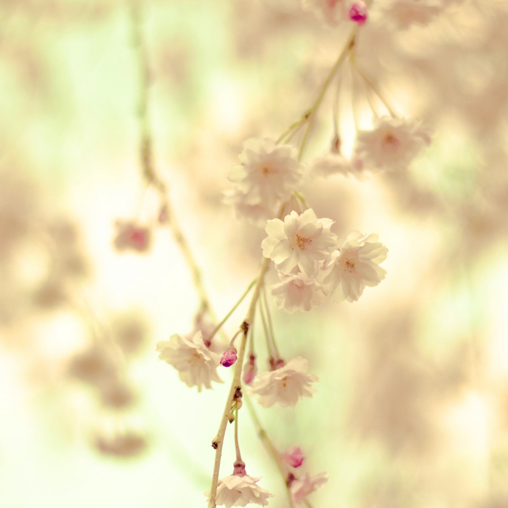 Цветочная веточка