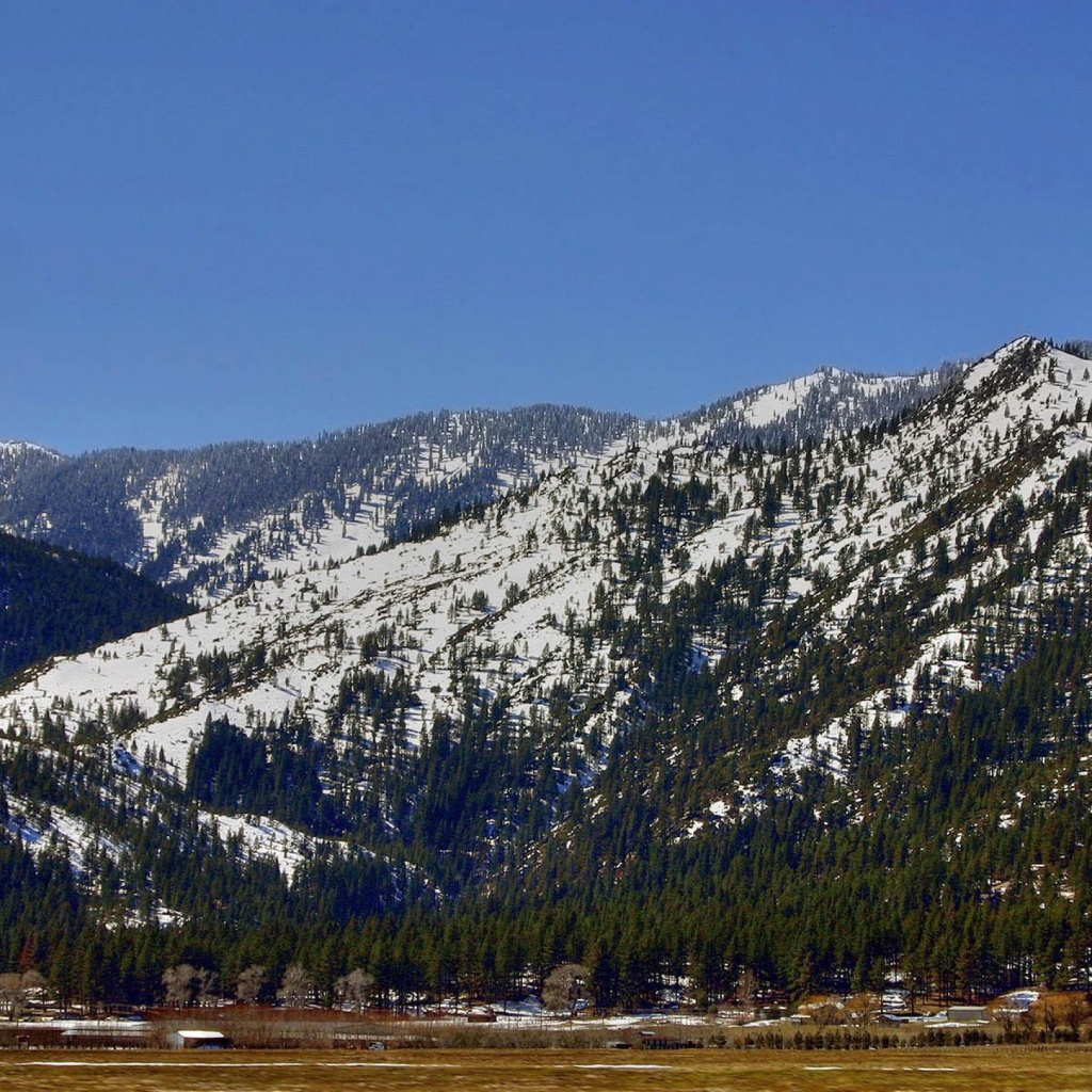 Горные защитники