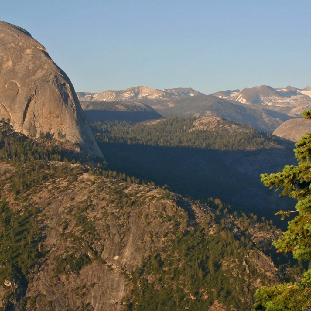 Горы и елка