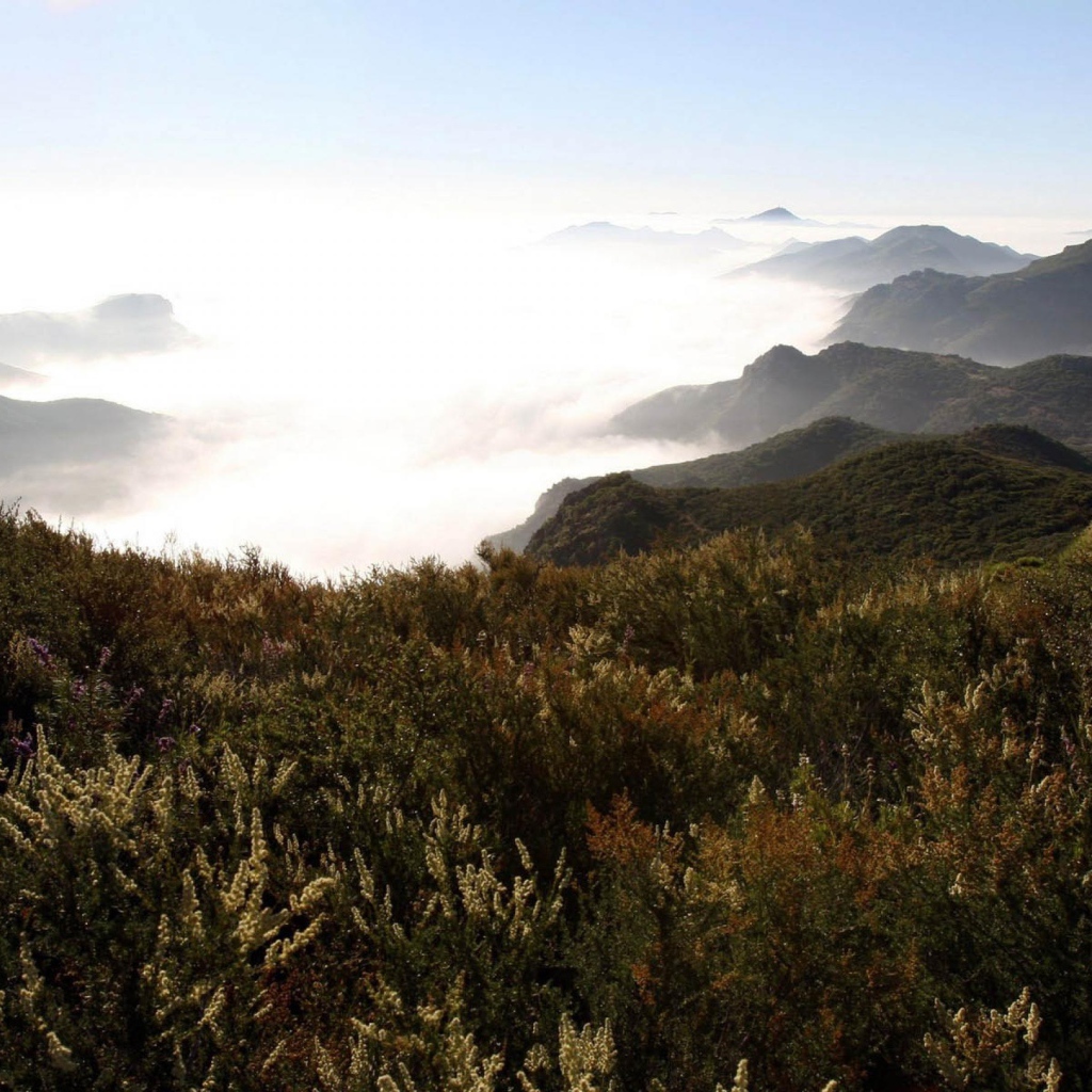Горы в туманых облаках