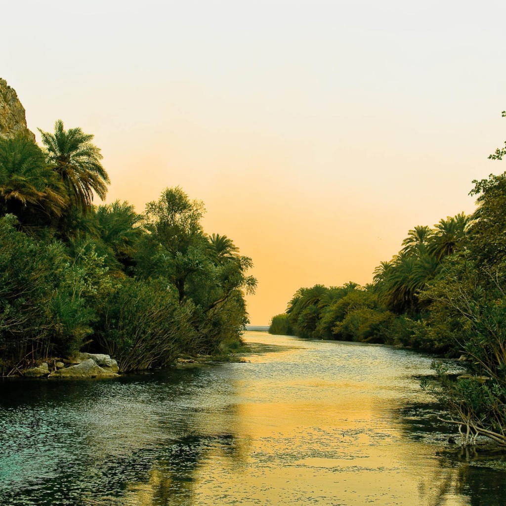 Река и пальмы